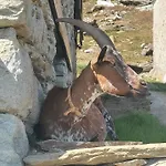 Gran Paradiso Lägenhet *