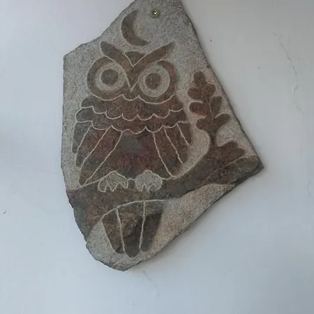 Apartment Gran Paradiso