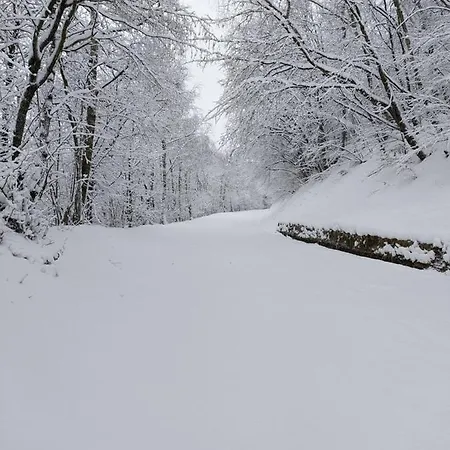 Gran Paradiso Apartment *