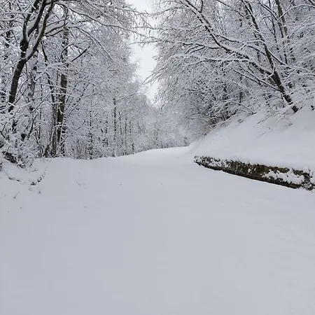 Gran Paradiso Appartamento *