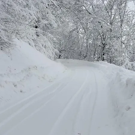 Apartment Gran Paradiso