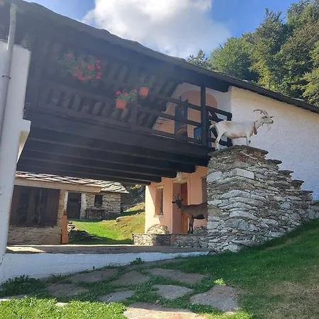 Apartmán Gran Paradiso Alpette